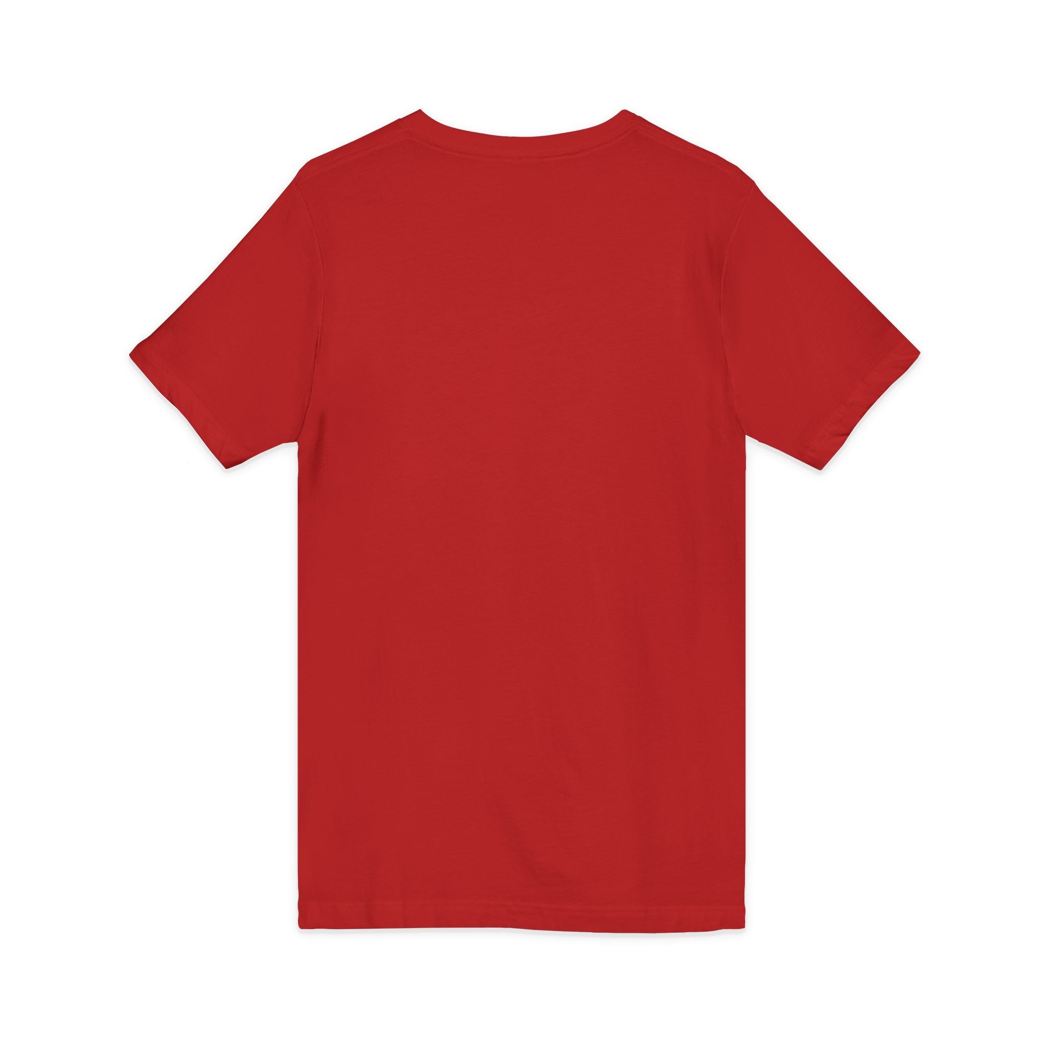 250 Years of America 1776-2026 Jersey Short Sleeve V-Neck Tee